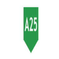 A25 Solutions logo