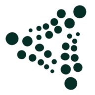Alpha Net Consulting LLC logo