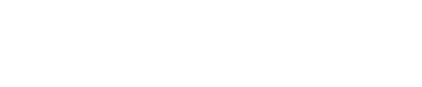 Anjus LLC logo