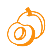 Apricot Info Tech Inc logo