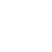 Aviation Exteriors Louisiana logo