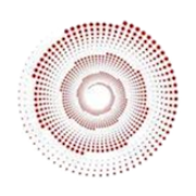 Avsi Systems logo