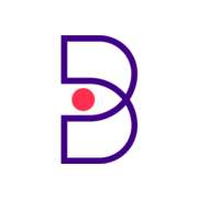 The Baer Group, LLC logo