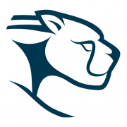 Blue Cheetah Analog Design logo