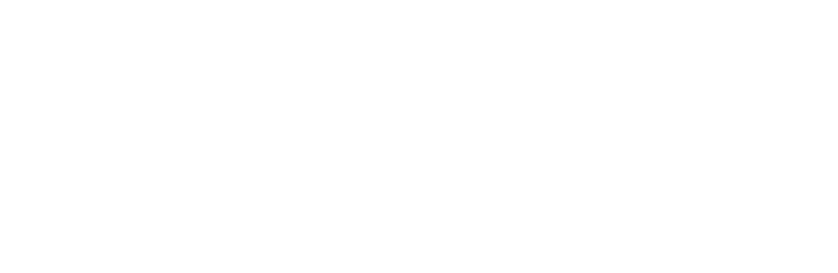 BDIPlus logo