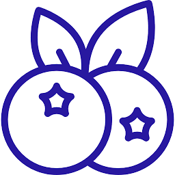 Berry Fresh LLC logo