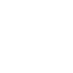 Beta Air, LLC logo