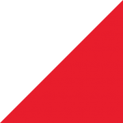 Boarman Kroos Vogel Group, Inc, logo