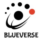 Blue Verse Systems logo