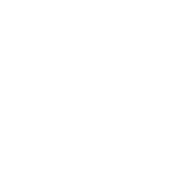 Blur Studio, Inc. logo