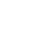 Bluvium logo