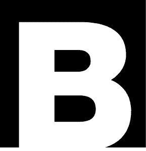 The Boldt Company logo