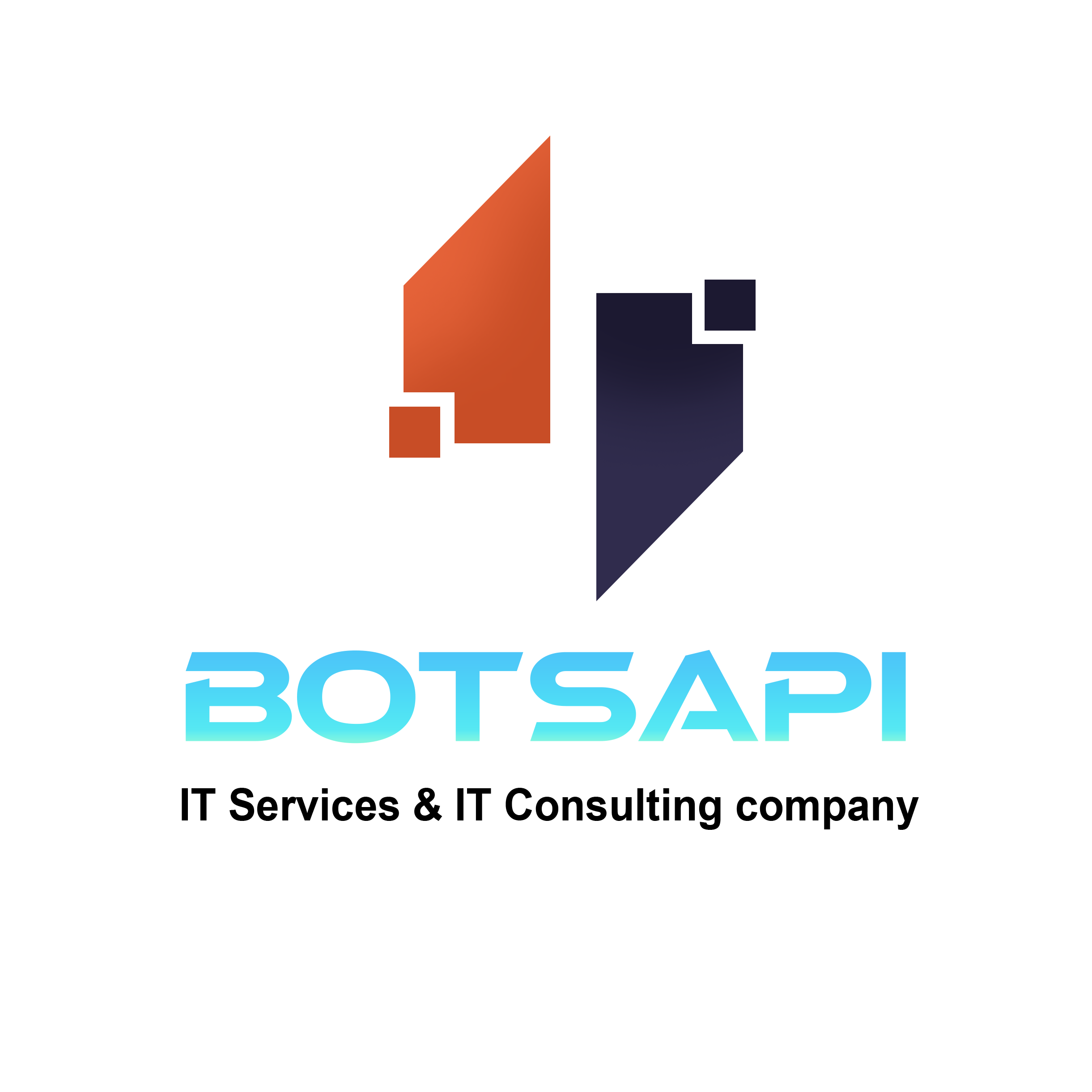Botsapi logo