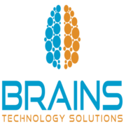 Brains Technology Solutions, Inc logo