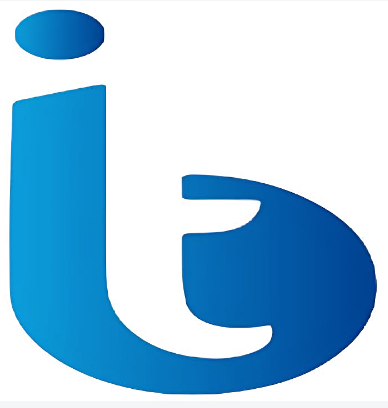 Bricks IT Solutions LLC logo