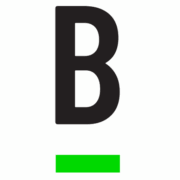 Bridge Investment Group LLC logo