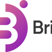 Bringwise logo