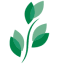 Bkd Twenty One Management Company logo