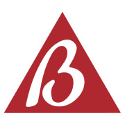 Bris Engineering, LLC logo