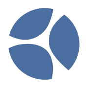 Blue Stone Management logo
