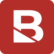 Budlong & Associates logo