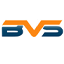 Business Value Intelligence Services logo