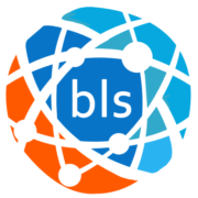 Byte Link Systems Inc logo