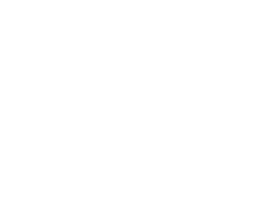 Canfield Scientific logo