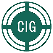 Capital Info Group, Inc. logo