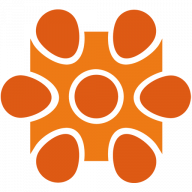 Caprus IT Inc logo