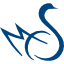 Carmeuse Lime & Stone, Inc. logo