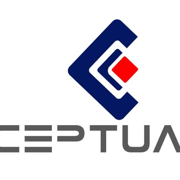 Ceptua IT Inc logo