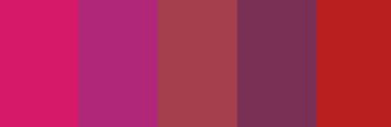 Cerise Infotech logo
