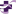 CHRISTUS Health logo