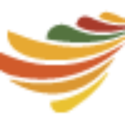 Conure Telecom Services, LLC logo