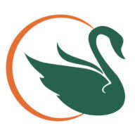 Cygnus Compliance Consulting logo