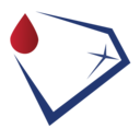 Diamond Diagnostics, Inc logo