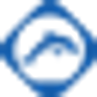 Dolphin Technology logo
