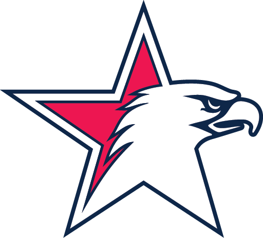 Dominion Voting Systems logo