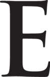 Elite Group International Ny Inc logo