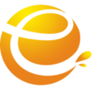 Enson Group Inc. logo