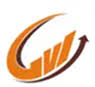 Global Visse logo