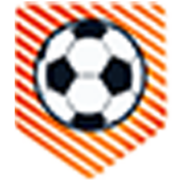 Holler Technologies logo