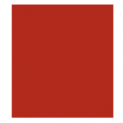 Holtec International logo