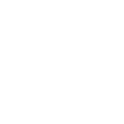 The Institute for Governance and Sustainable Development logo