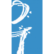 Innovations Design Group logo