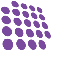 Intelligent Solutions Group logo
