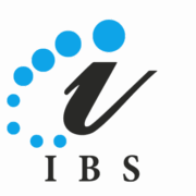 Intellect Business Solutions, LLC logo