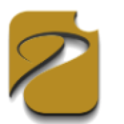 Interon IT Solutions LLC logo