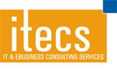 IT & Ebusiness Consulting Services Inc logo